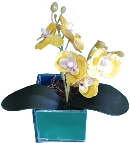  Arranjo de mini Orquídeas