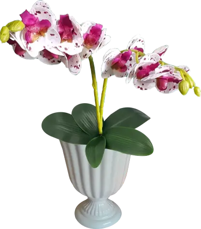 Arranjo de Orquídeas