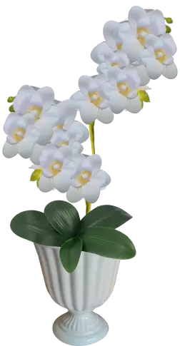 Arranjo de Orquídeas