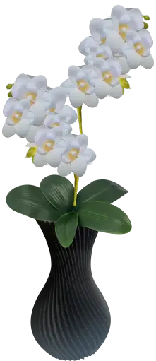 Arranjo de Orquídeas