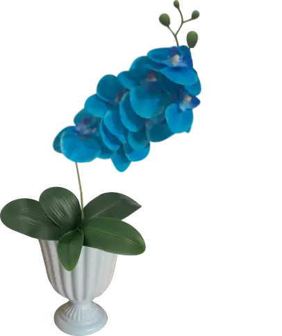 Arranjo de Orquídeas