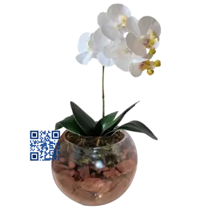 Arranjo de Orquídeas