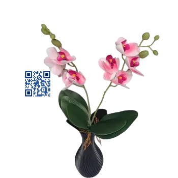 Arranjo de Orquídeas