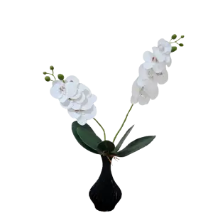 Arranjo de Orquídeas