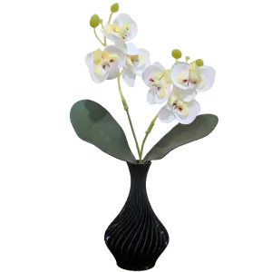 Arranjo de Orquídeas