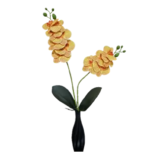 Arranjo de Orquídeas