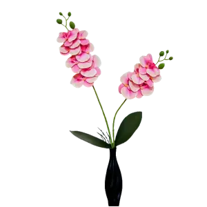 Arranjo de Orquídeas