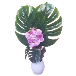 Arranjo de Orquídeas