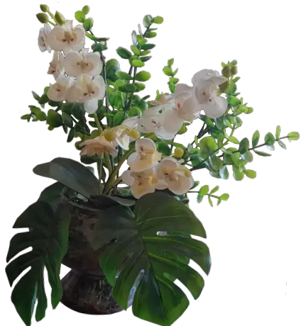 Arranjo de Orquídeas