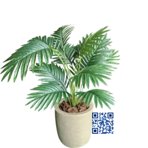 Arvore de Costela de Adão