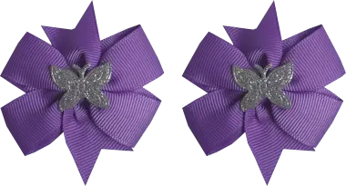 Conjunto de Laços